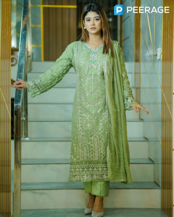 Agha Noor Inspired Chiffon Stitched 4-Piece | 4PCOA001